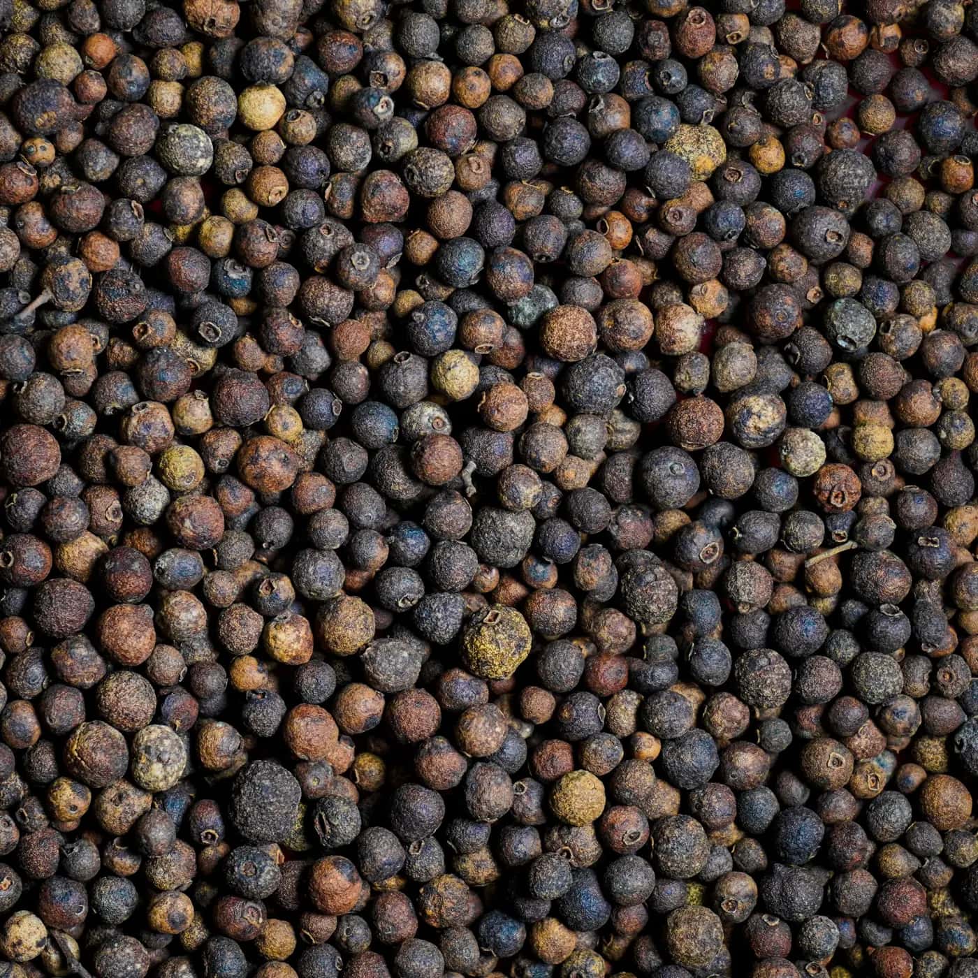 Allspice