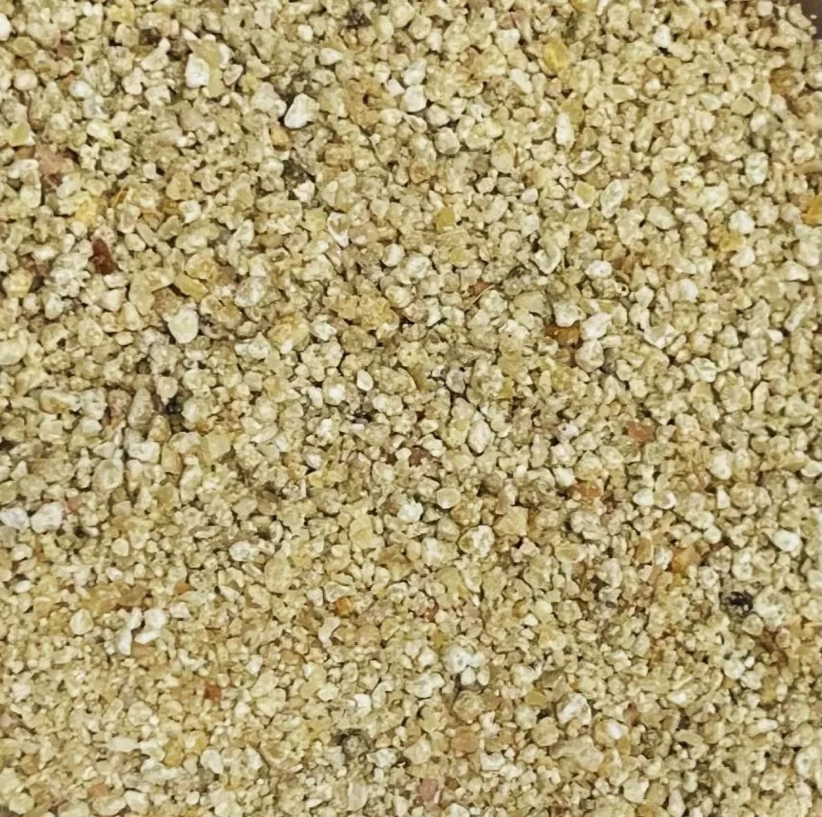Asafoetida (Hing)