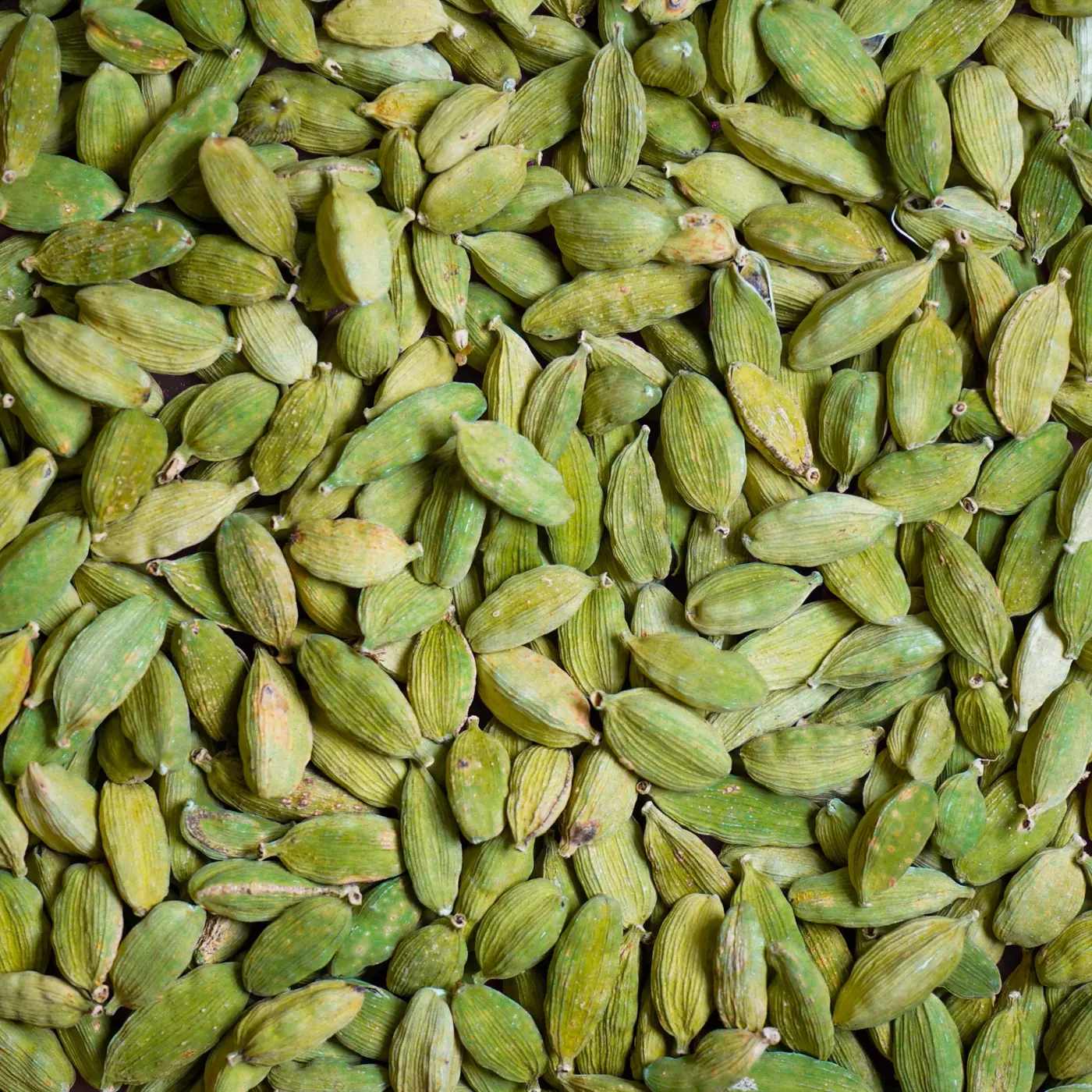 Cardamom