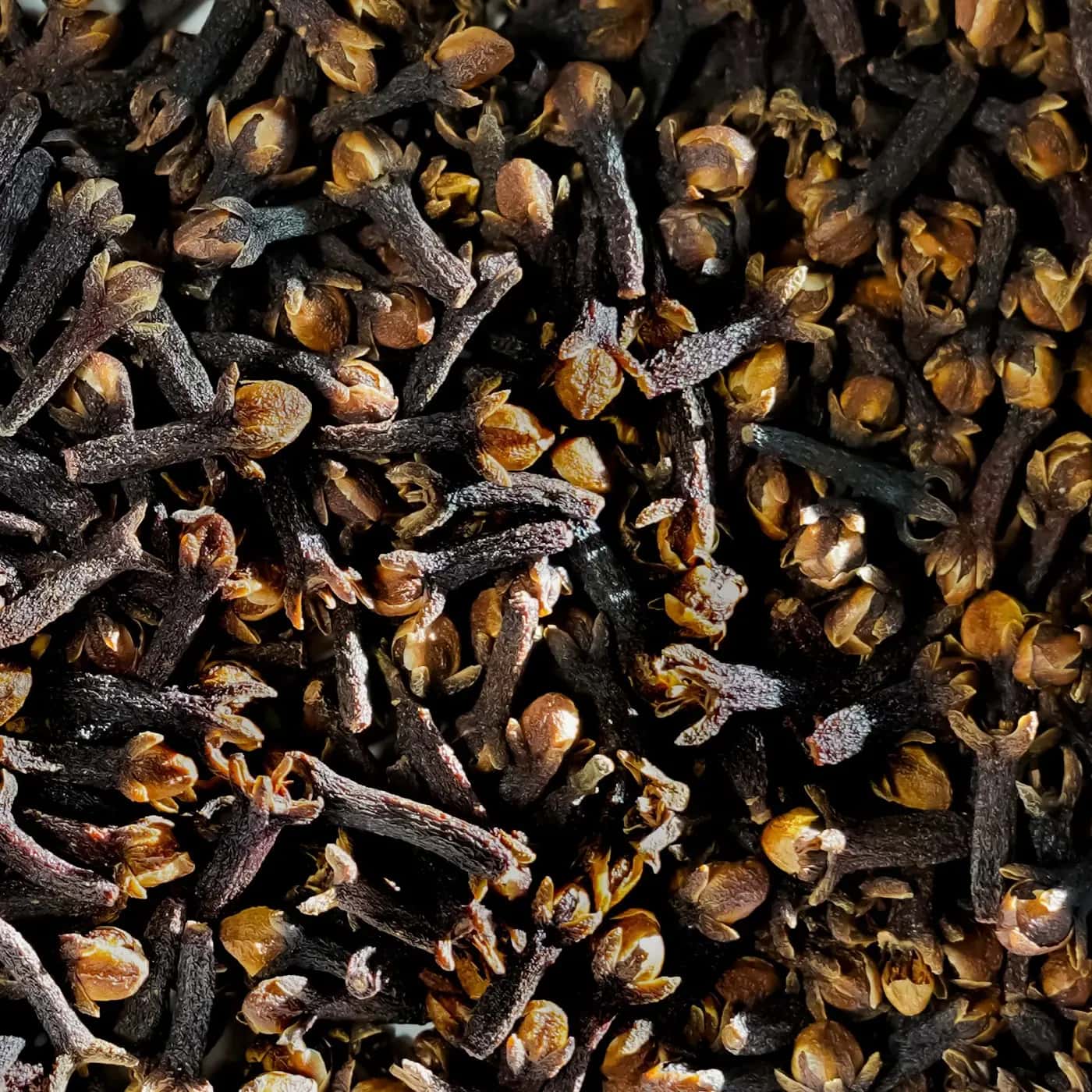 Clove