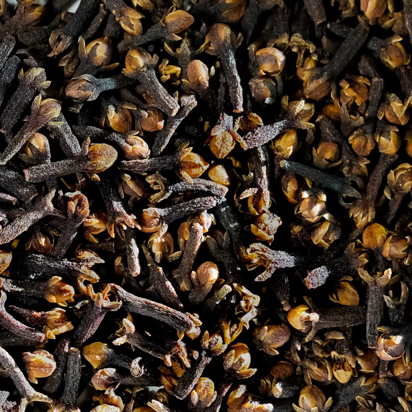 Clove