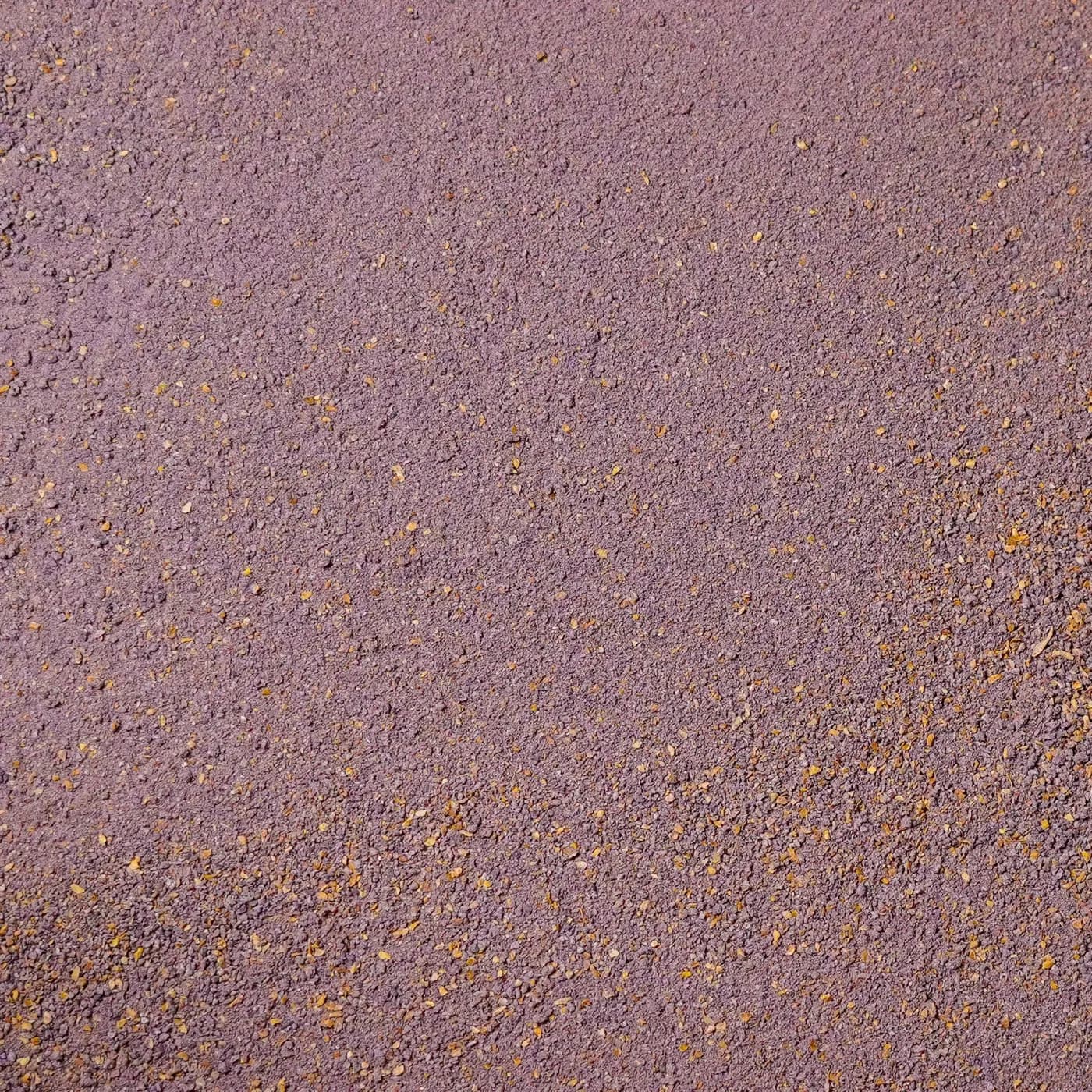 Purple Ginger