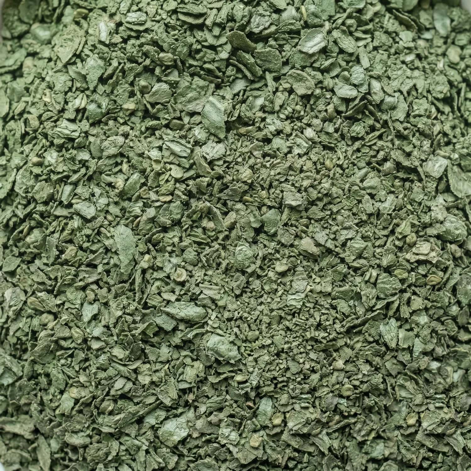 Turkish Mint