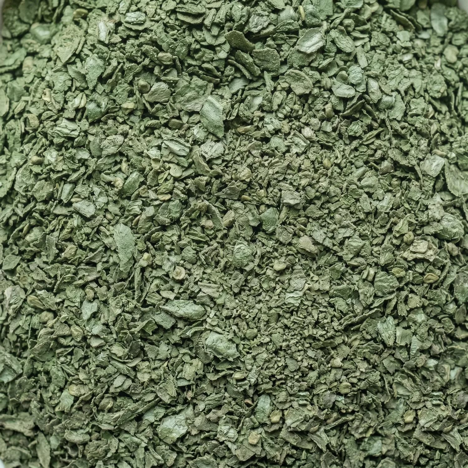 Turkish Mint
