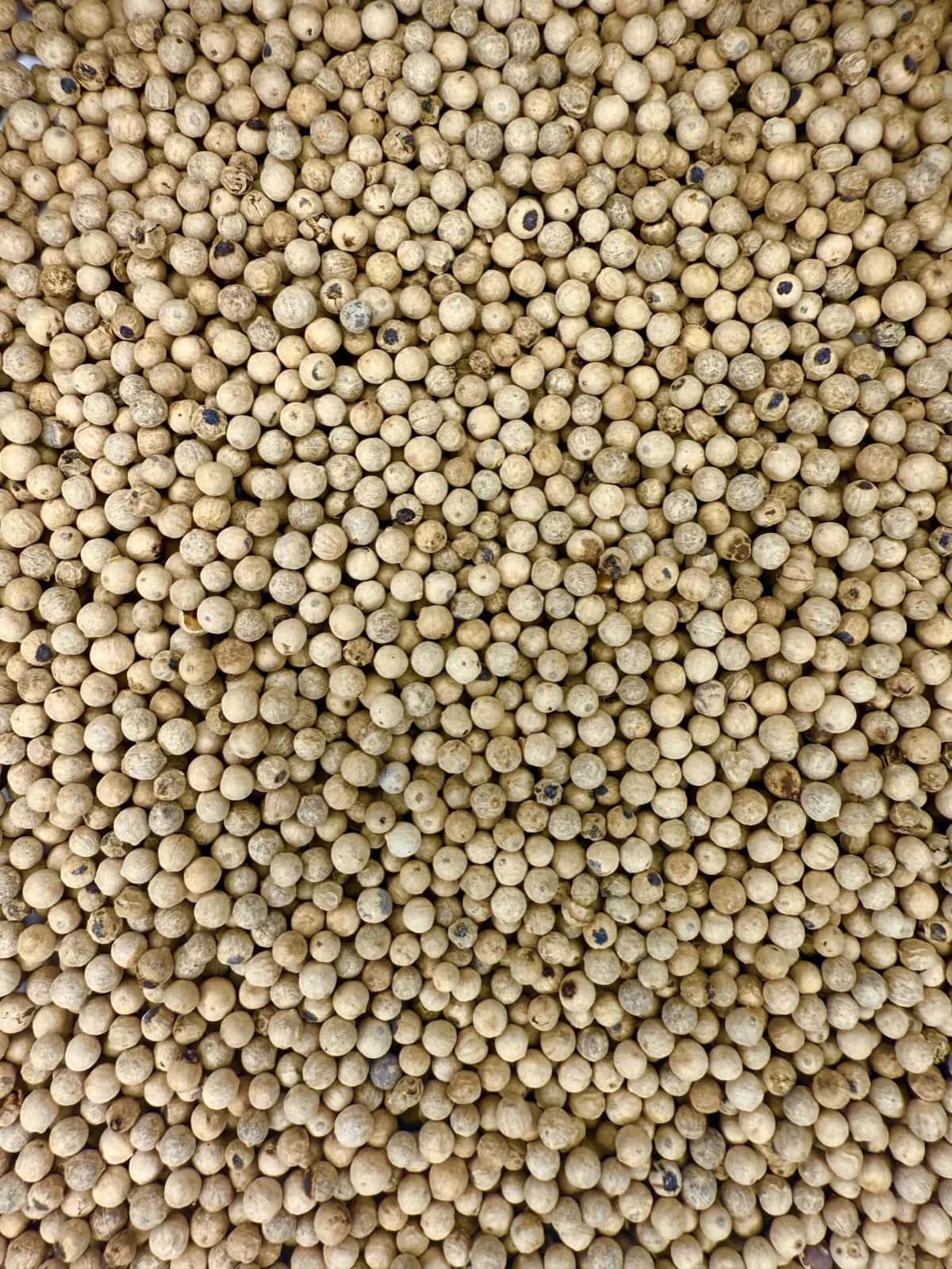 White Pepper