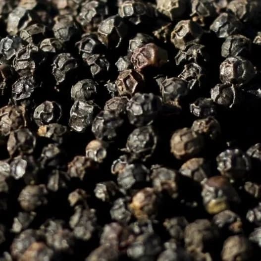 Black Pepper