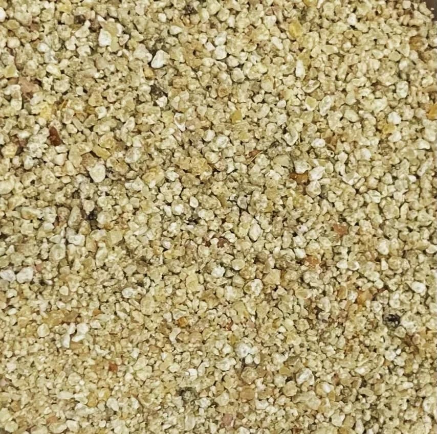 Asafoetida (Hing)