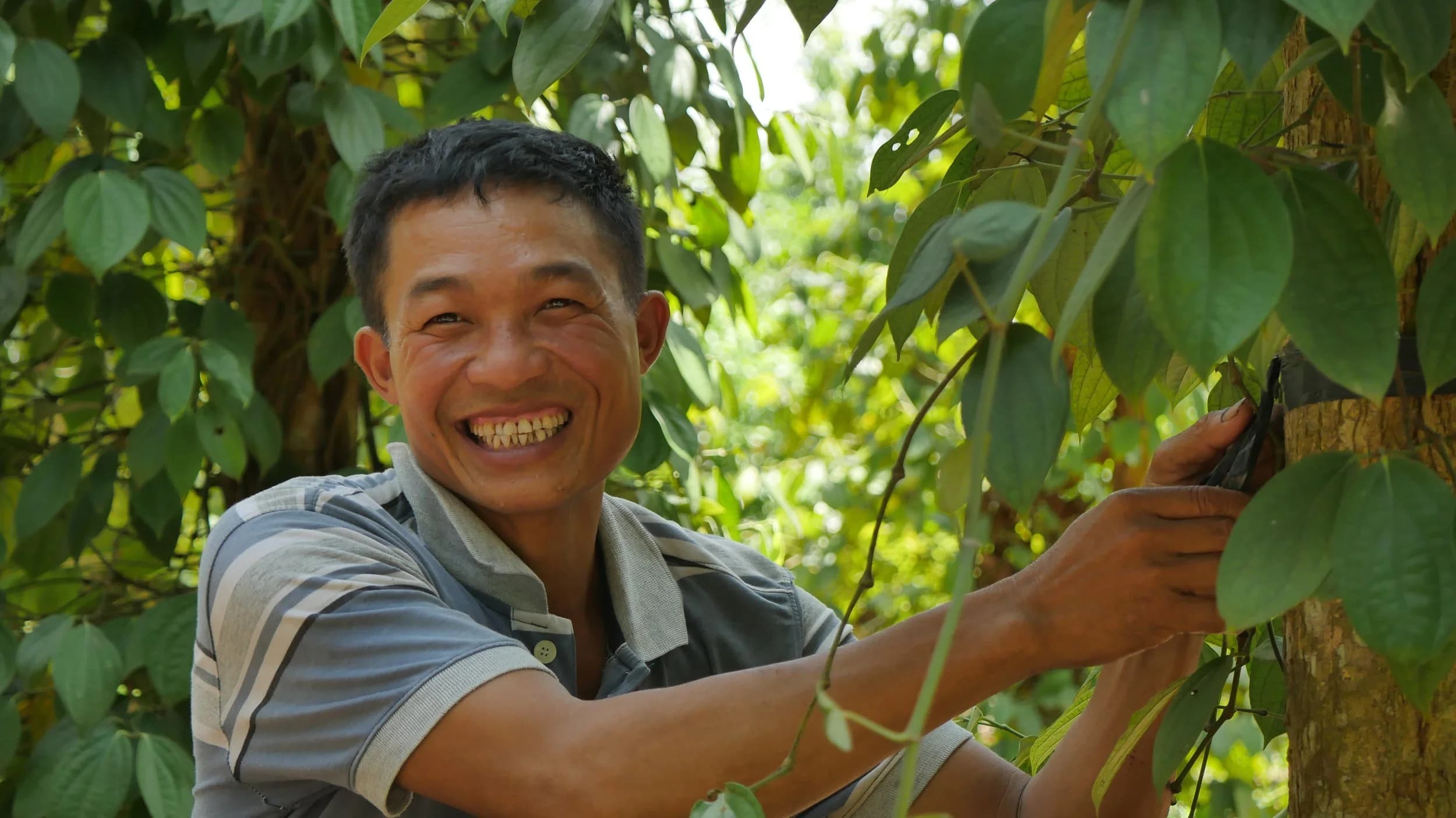 A farmer Noble House Spice partners with, smiling at harvest