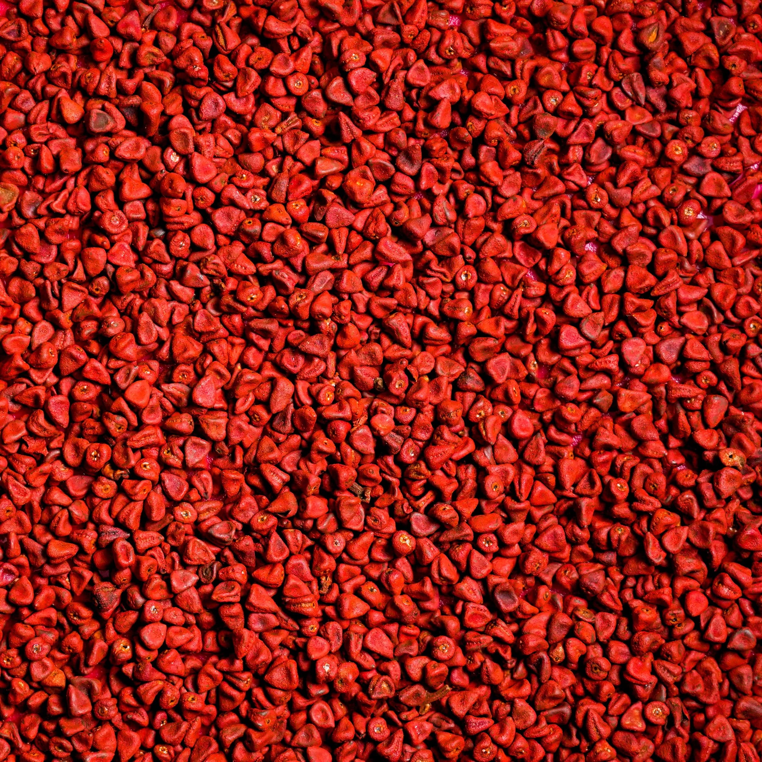Annatto Seeds