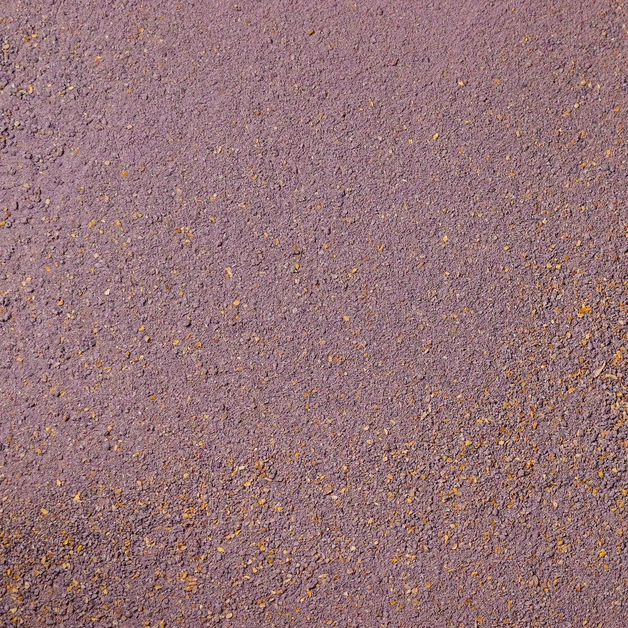 Purple Ginger